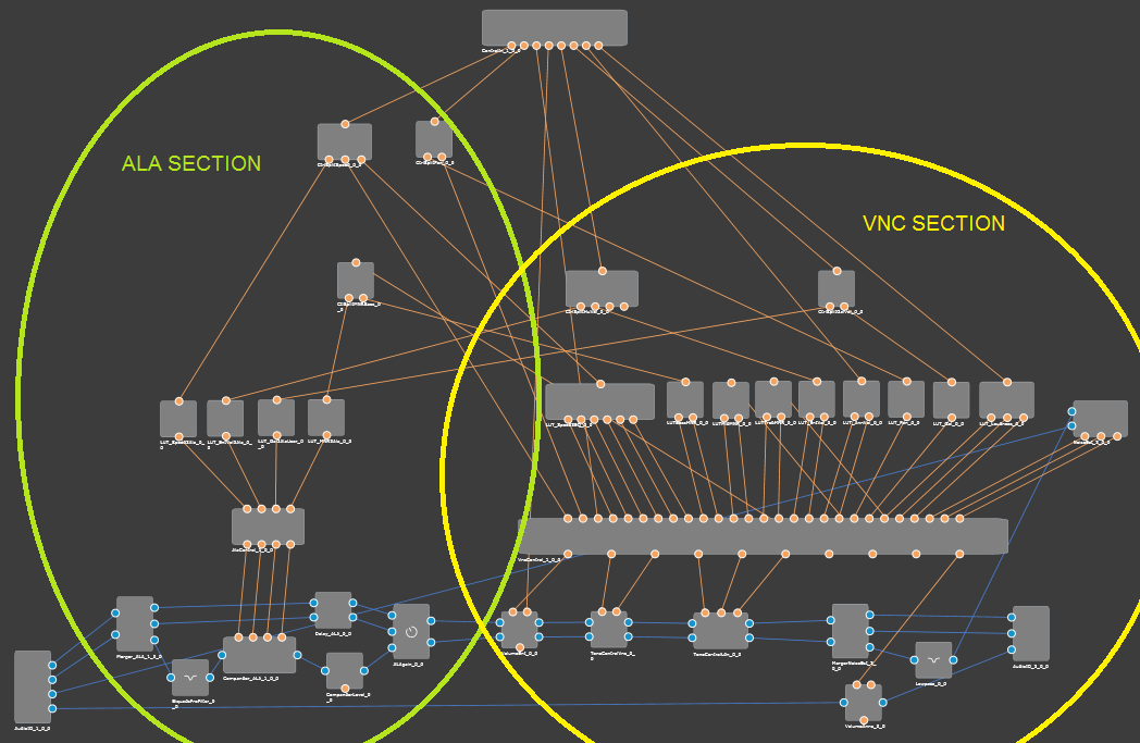 VNC-ALA signal flow sections